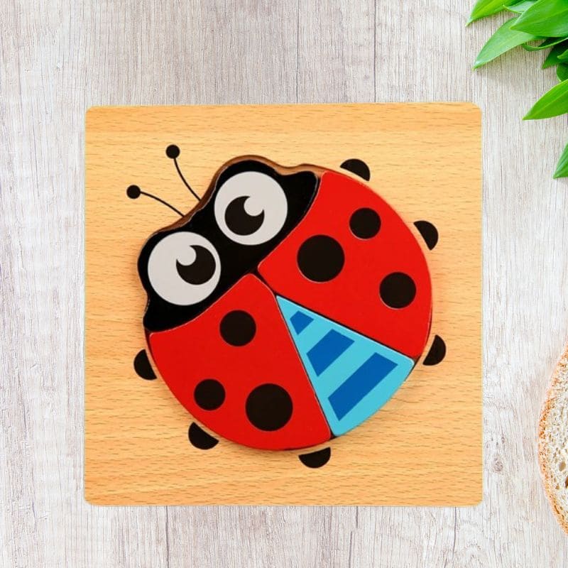 puzzle-3d-en-bois-coccinelle-superbe